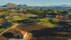 Event Bartending & Beverage Catering in Temecula, CA